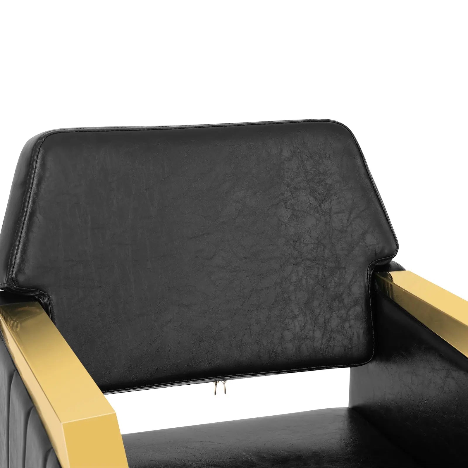 #5048 Prestige Gold Salon Styling Chair Artist hand