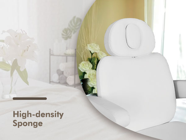 2906 4 Motors Aesthetic Chair Dual Control Full Electrical Medical