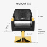 #5048 Prestige Gold Salon Styling Chair Artist hand